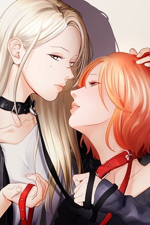 Pet’s Aesthetics – Chapter 1